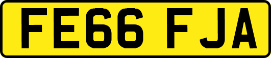 FE66FJA