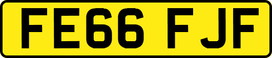 FE66FJF
