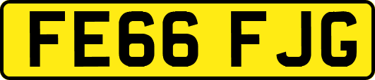 FE66FJG