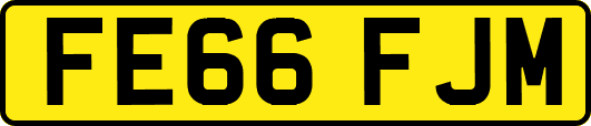 FE66FJM