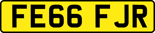 FE66FJR