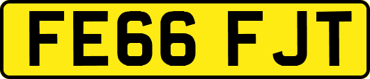 FE66FJT