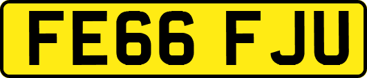 FE66FJU