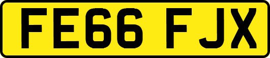 FE66FJX