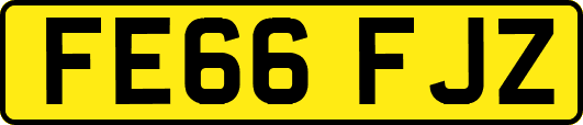 FE66FJZ