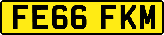 FE66FKM
