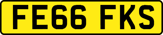FE66FKS