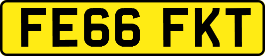 FE66FKT