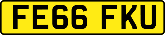 FE66FKU
