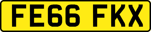 FE66FKX
