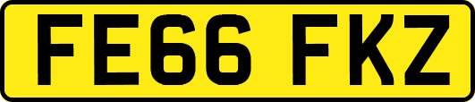 FE66FKZ