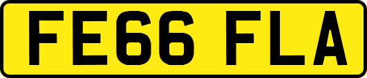 FE66FLA