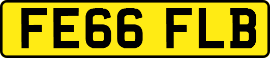 FE66FLB