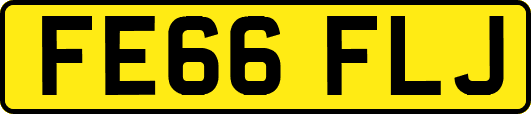 FE66FLJ