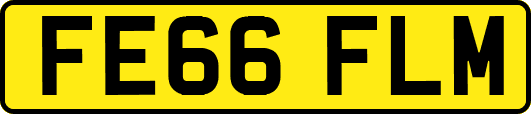 FE66FLM