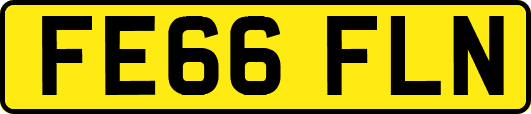 FE66FLN