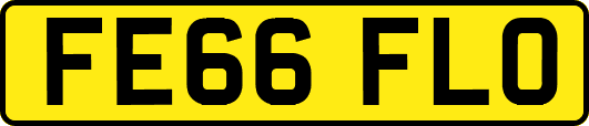 FE66FLO
