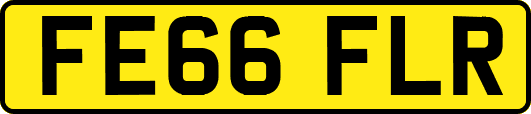 FE66FLR