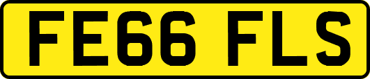 FE66FLS