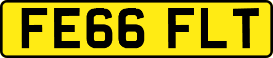 FE66FLT
