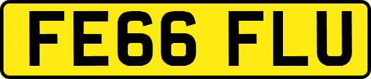 FE66FLU