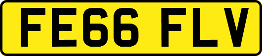 FE66FLV