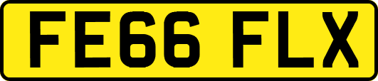 FE66FLX