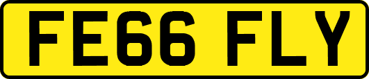 FE66FLY