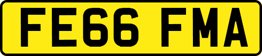 FE66FMA