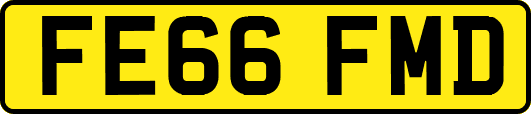 FE66FMD