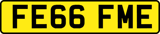 FE66FME