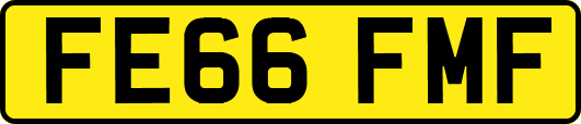 FE66FMF