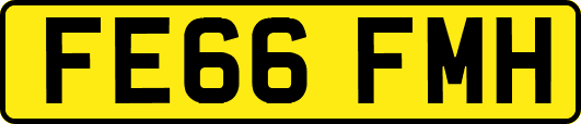 FE66FMH