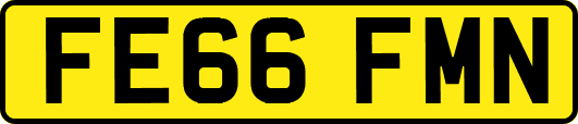 FE66FMN