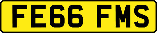 FE66FMS