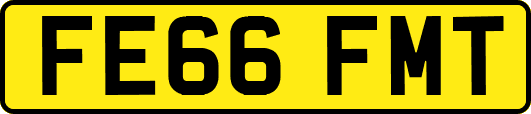 FE66FMT