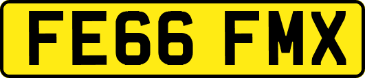 FE66FMX