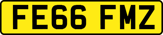 FE66FMZ
