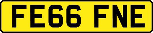 FE66FNE