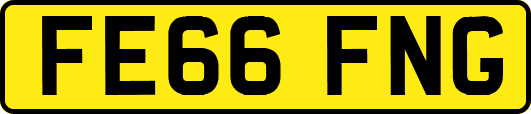 FE66FNG