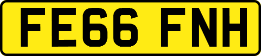 FE66FNH