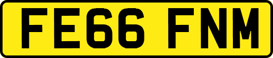 FE66FNM
