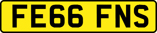 FE66FNS