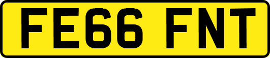 FE66FNT