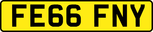FE66FNY
