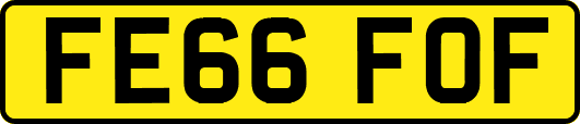 FE66FOF