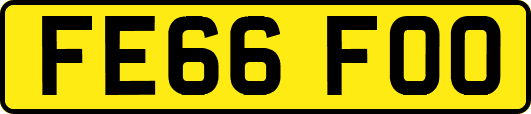 FE66FOO