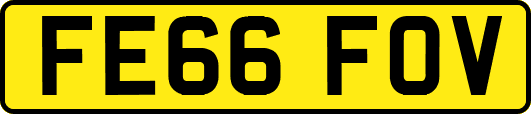 FE66FOV