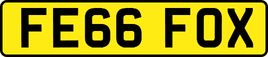 FE66FOX
