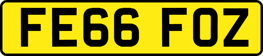 FE66FOZ